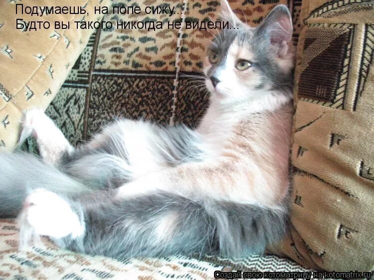 Сижу как будто