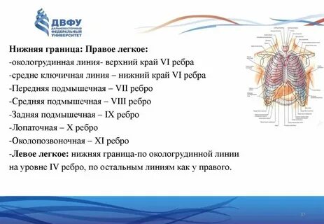 Границы нижнего закрыты