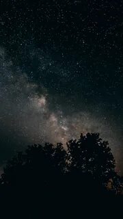 Звезды усеивают темное небо и блестят