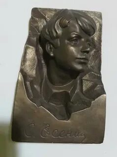 Пластик шевченко