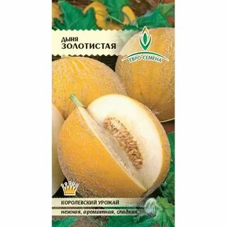 Дыня золотистая