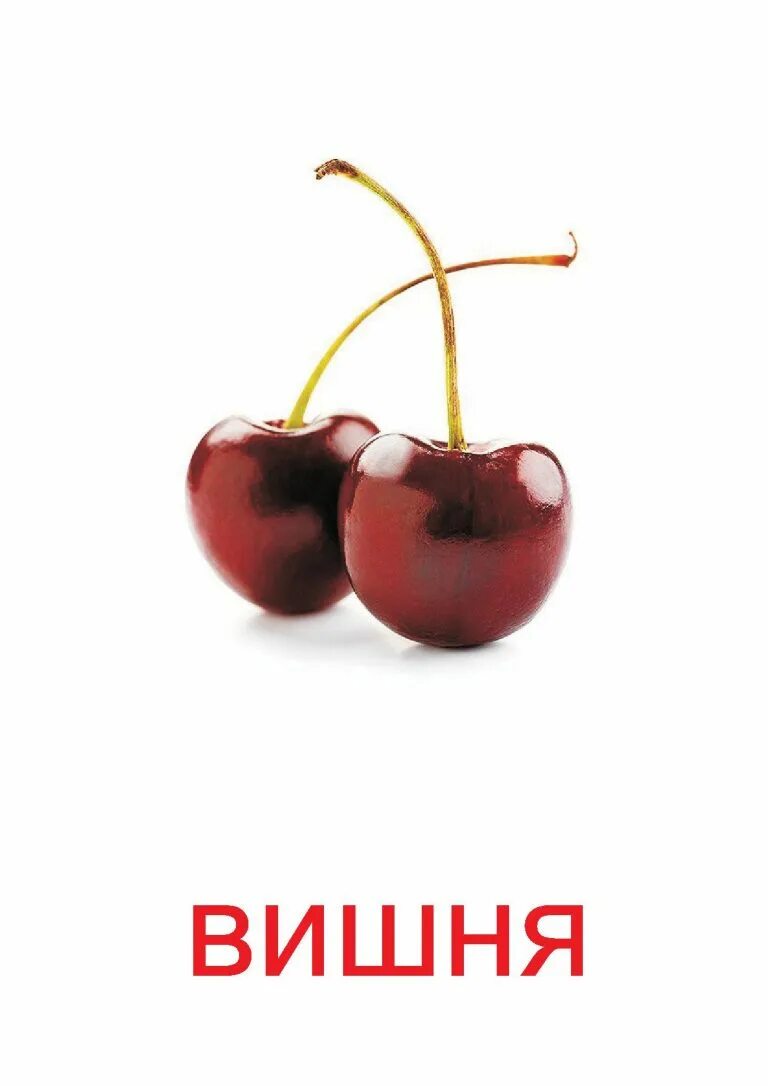 Вишня на английском языке. Вишня карточка. карточки фрукты для детей вишня. вишня для детей. вишня надпись.