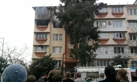 Погода адлер голубые дали