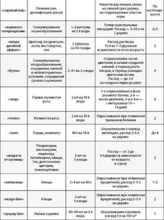 Когда опрыскивать яблони