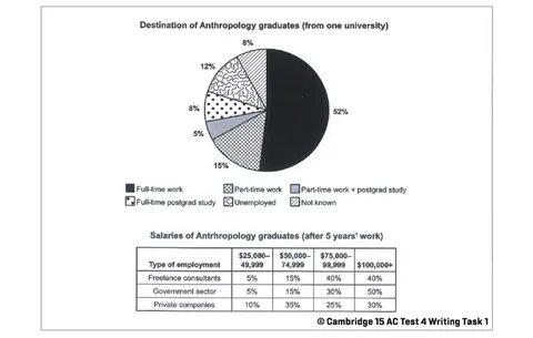 The pie chart below