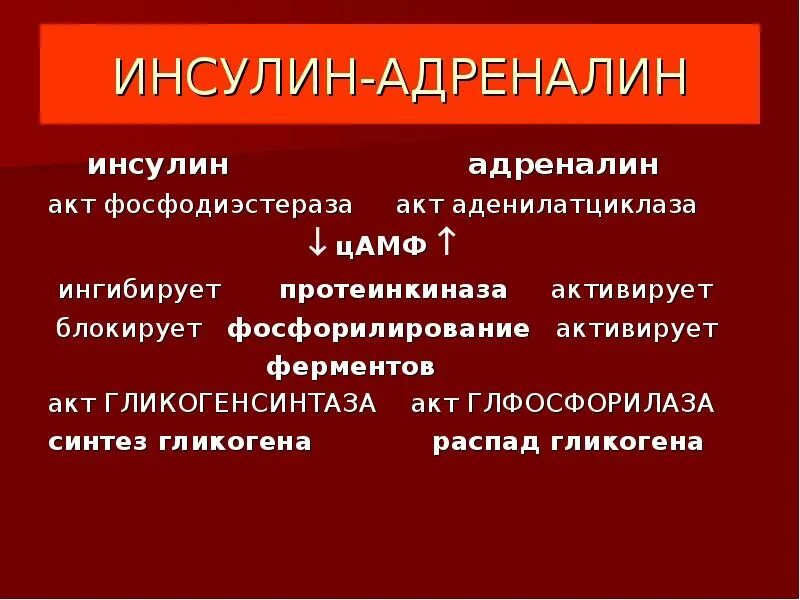 Содержание адреналина в крови. Взаимосвязь адреналина и инсулина. Адреналин и инсулин взаимодействие. Эпинефрин и инсулин взаимодействие. Гормоны инсулин и адреналин.