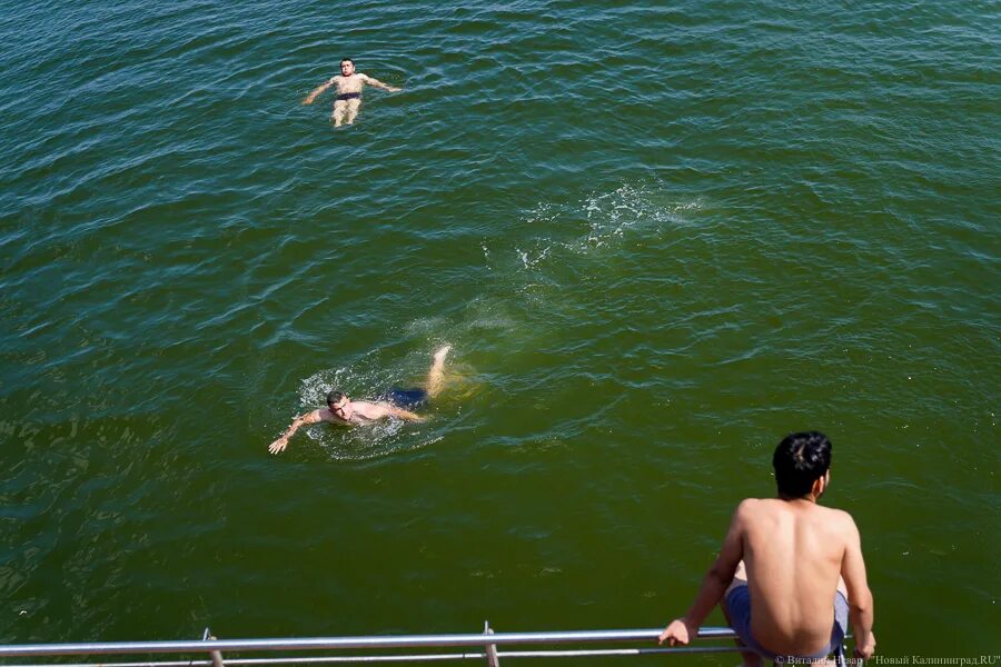 Калининград вода в море в августе. Черное море под водой. море в анапе в сентябре. акула в черном море 2025. лермонтово море 2025.