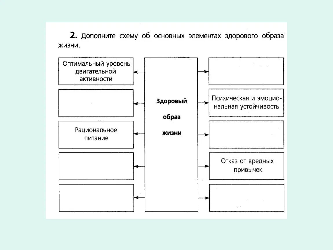 Образ жизни и его уровни. Здоровый образ жизни схема. Компоненты ЗОЖ схема. Схема составляющих ЗОЖ. Схема основные составляющие здорового образа жизни.