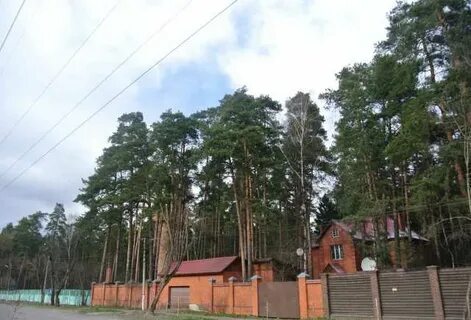 Кратово отдых