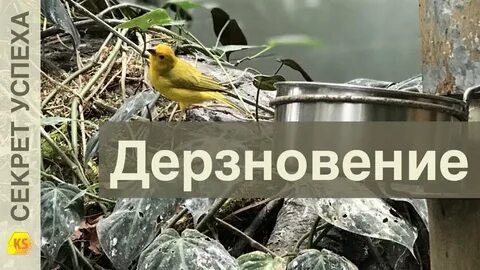 Дерзновение это