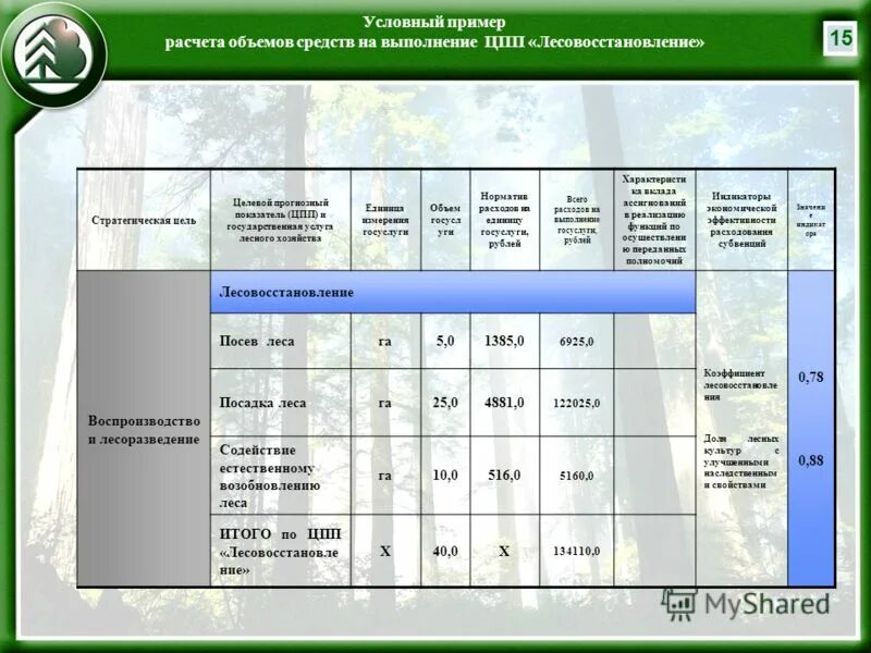 Правила лесовосстановления 1024