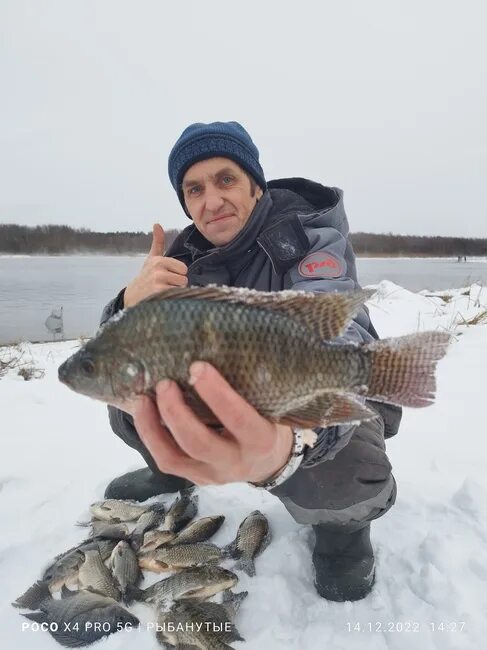 Рыбалка аэс. Озеро Удомля. Удомля рыбалка. Зимняя рыбалка. Озеро Кезадра рыбалка.