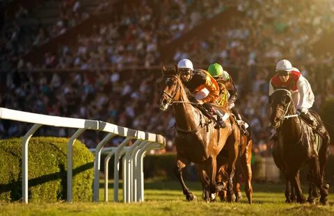 Ascot horse racing