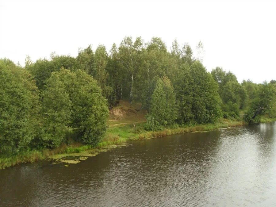 река вязьма тейково. исток реки вязьма. исток реки вязьма. исток реки вязьма. река вязьма тейково.