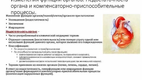 Выполнение компенсаторной функции
