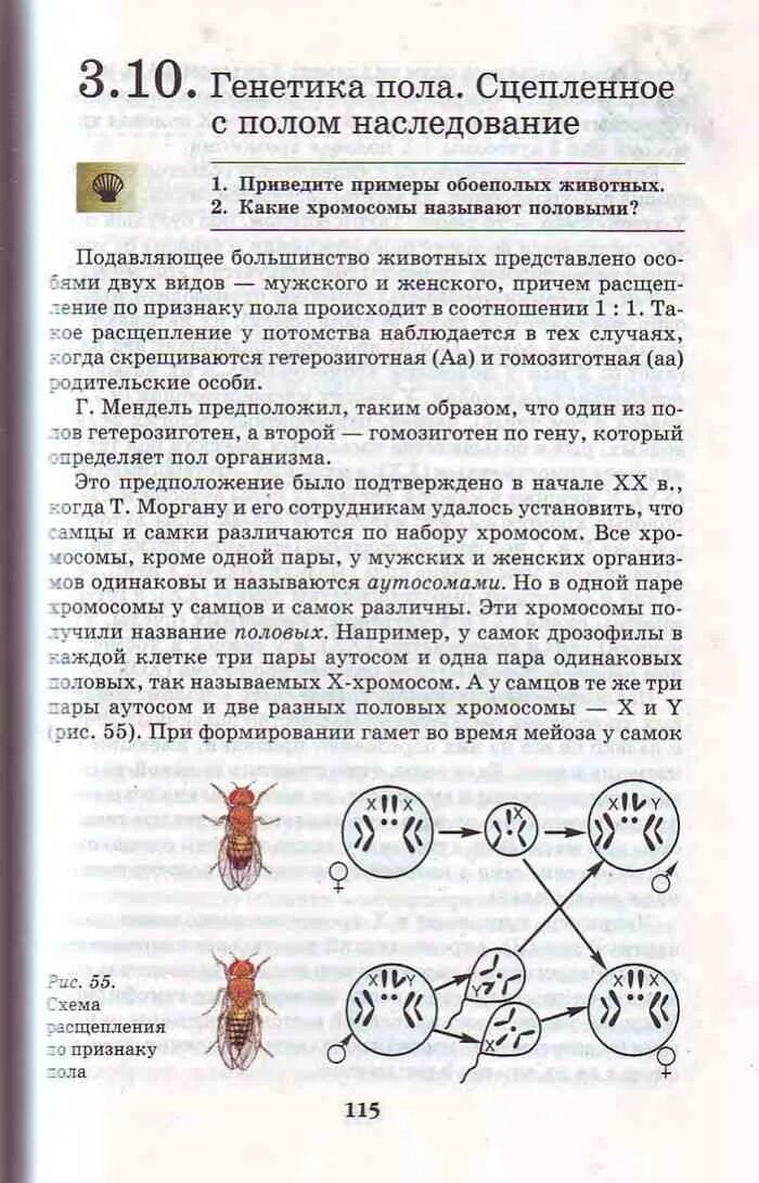 Уроки биологии 9 класс пасечник. Биология 9 класс учебник Пасечник Каменский. Биология 9 класс учебник Пасечник Каменский Швецов. Биология 9 класс учебник Пасечник Каменский Криксунов. Биология 9 кл Пасечник учебник.