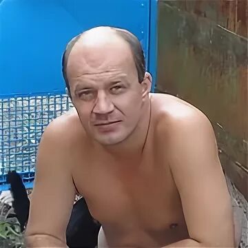 Igor d. Igor d. Igor d. Igor d. Данилейко.