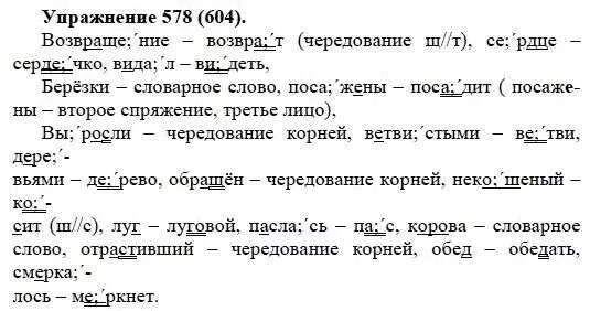 Русский язык пятый класс номер 106. 578 Русский язык 5 класс. Русский язык пятый класс упражнение 578.