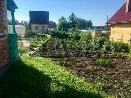 Авито бердск работа