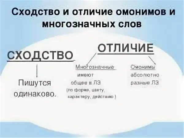 Чем отличаются многозначные слова. Отличие омонимов от многозначных слов. Омонимы и многозначные слова. Различие между омонимами и многозначными словами. Омонимы отличаются от многозначных слов.