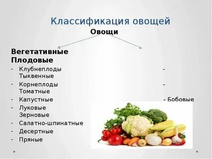 Овощи относящиеся к томатным