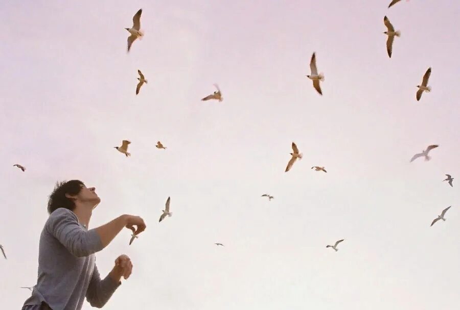 Птицы летают над головой. Птицы в небе. Птицы в небе и человек. Человек смотрит на птиц.