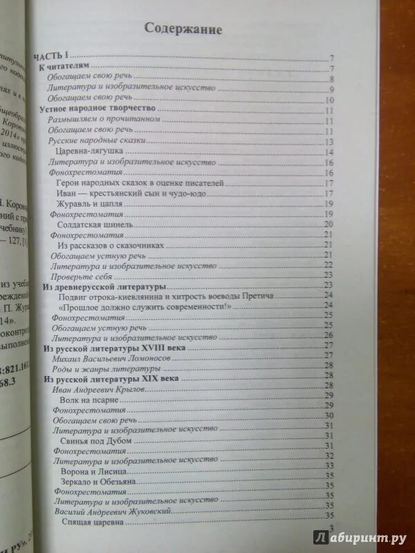 Содержание литература 5 9 класс. Содержание литература 5 9 класс