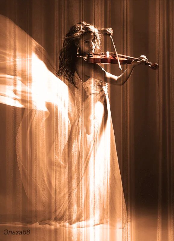 музыкальные инструменты и цветы. красивая скрипка. фотосессия с музыкальными инструментами. скрипка душа. девушка со скрипкой картина.