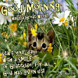 Have a great week