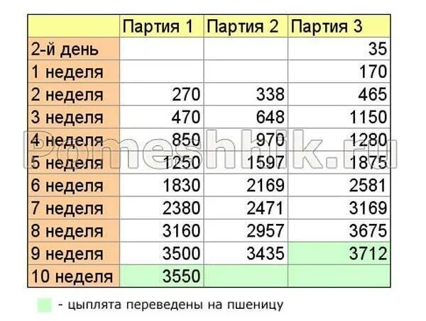 Вес цыпленка бройлера в 1 месяц таблица. Вес бройлера в 1 месяц таблица. Вес цыплят по месяцам таблица. Сколько должен весить месячный бройлер цыпленок.