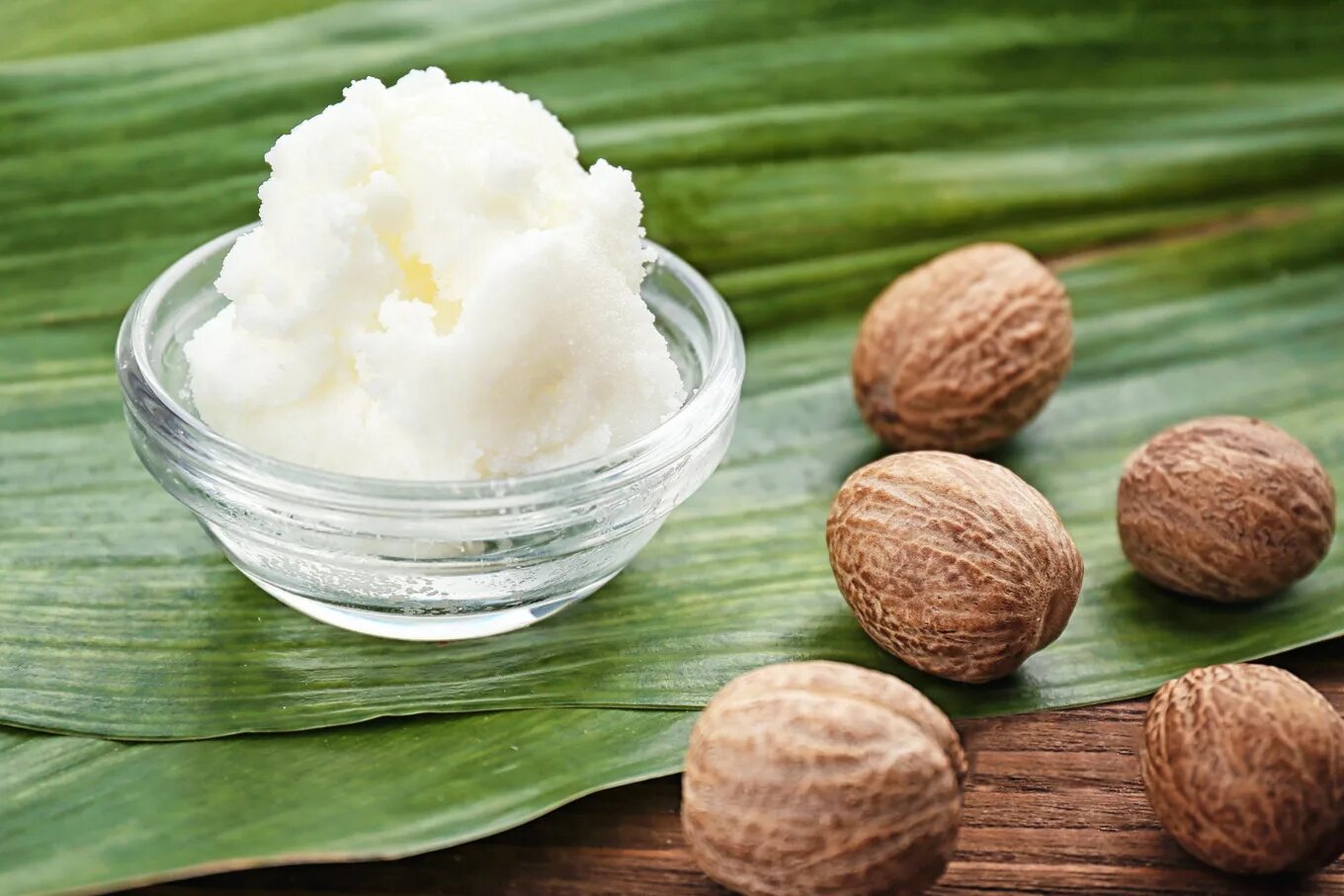 Масло ши рецепты. Масло ши. масло ши (shea butter).. масло ши (карите). масло ши дерево карите.