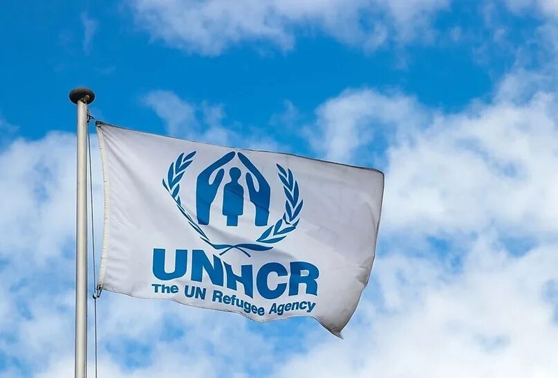 Управление Верховного комиссара ООН по делам беженцев. Верховного комиссара ООН по правам человека флаг. УВКБ ООН по делам беженцев. Управление Верховного комиссара ООН по делам беженцев эмблема.