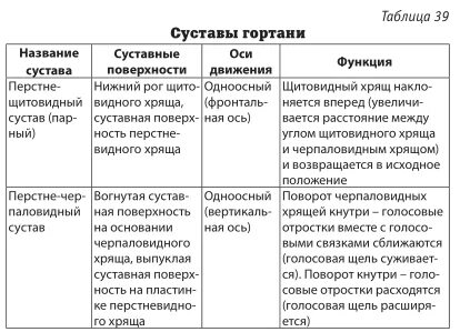 Гортань таблица