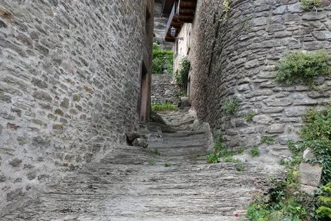 Бесало