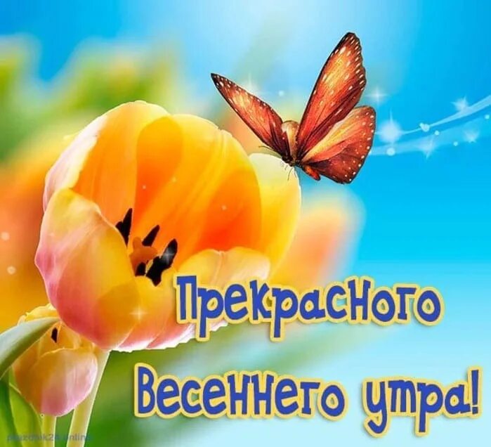 Доброе утро новинки весны