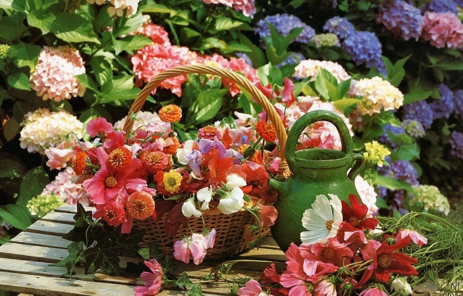 There are many flowers in the garden
