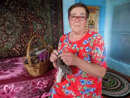 Погода в скрипкино викуловского
