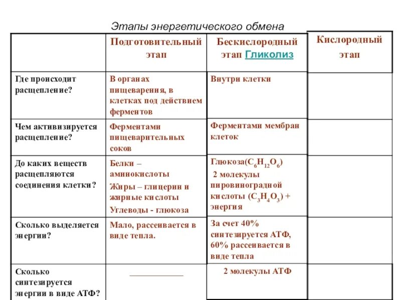 Таблица по биологии 10 класс этапы энергетического обмена. Характеристика 2 этапа энергетического обмена. Этапы энергетического обмена веществ таблица. Формула кислородного этапа энергетического обмена