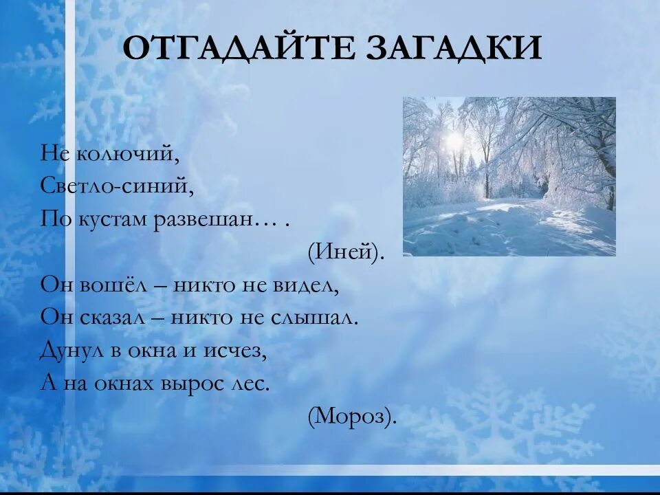 Загадки про зиму. Загадки о зимних явлениях. Загадки о зимних явлениях природы. Загадки о природе зимой.