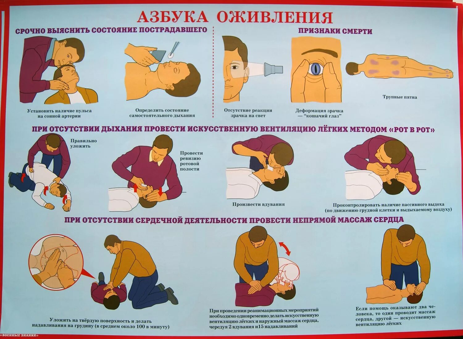 Первая маска первой помощи. Алгоритм оказания 1 помощи при остановке сердца. Алгоритм оказания 1 медицинской помощи при остановке сердца. Алгоритм ПМП остановке сердца. Алгоритм оказания первой медицинской помощи при остановке дыхания.