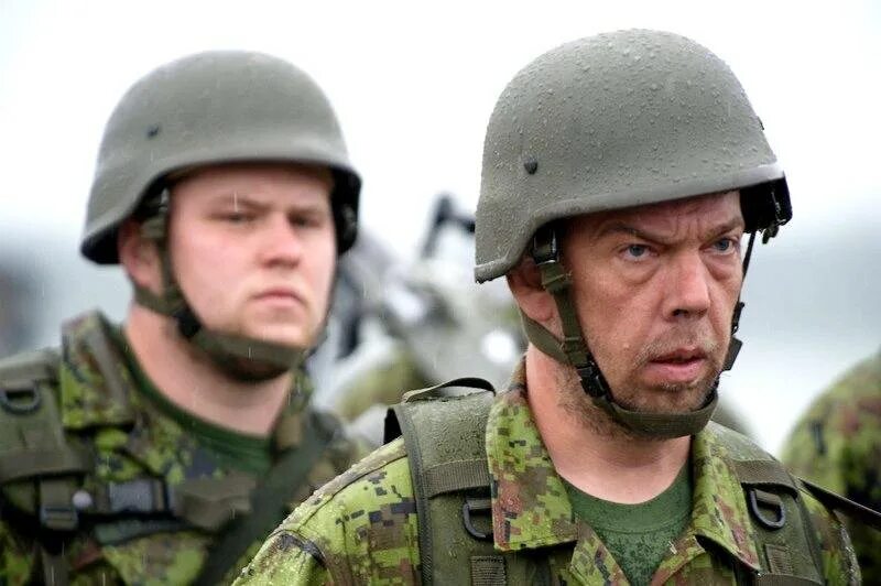 Военные глупы. Эстонская армия Кайтселийт. Эстонские военные. Эстонский солдат. Эстонские войска.