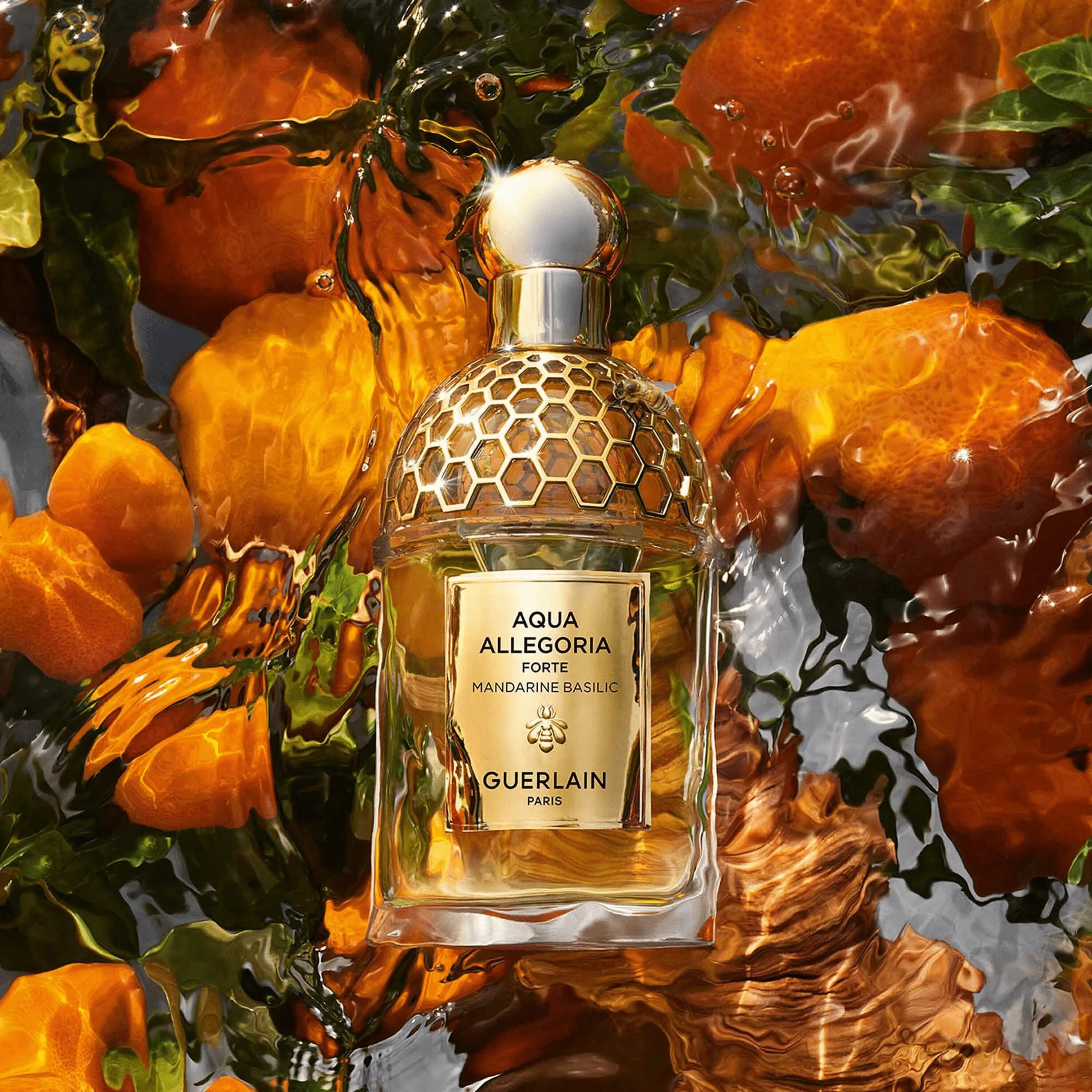 Guerlain aqua allegoria mandarine basilic туалетная. Guerlain Aqua Allegoria Mandarine. Guerlain Aqua Allegoria Mandarine basilic. Guerlain Aqua Allegoria Forte Mandarine basilic. Духи Guerlain Aqua Allegoria.