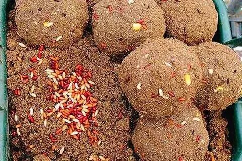 Карась какая приманка