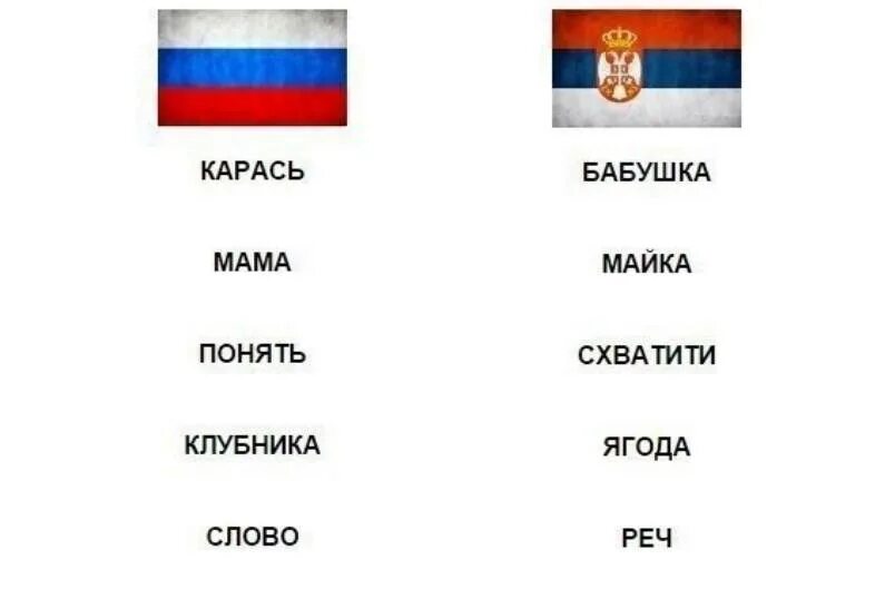 Язык похожий на украинский. Сербский язык. Русский и Сербский языки. Прикольные слова на сербском. Интересные сербские слова.