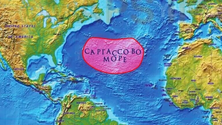 Как называется единственное безбрежное море нашей планеты. Саргассово море на карте. саргассово море на карте мира. каргасовое море на карт. саграсовое море на карте.