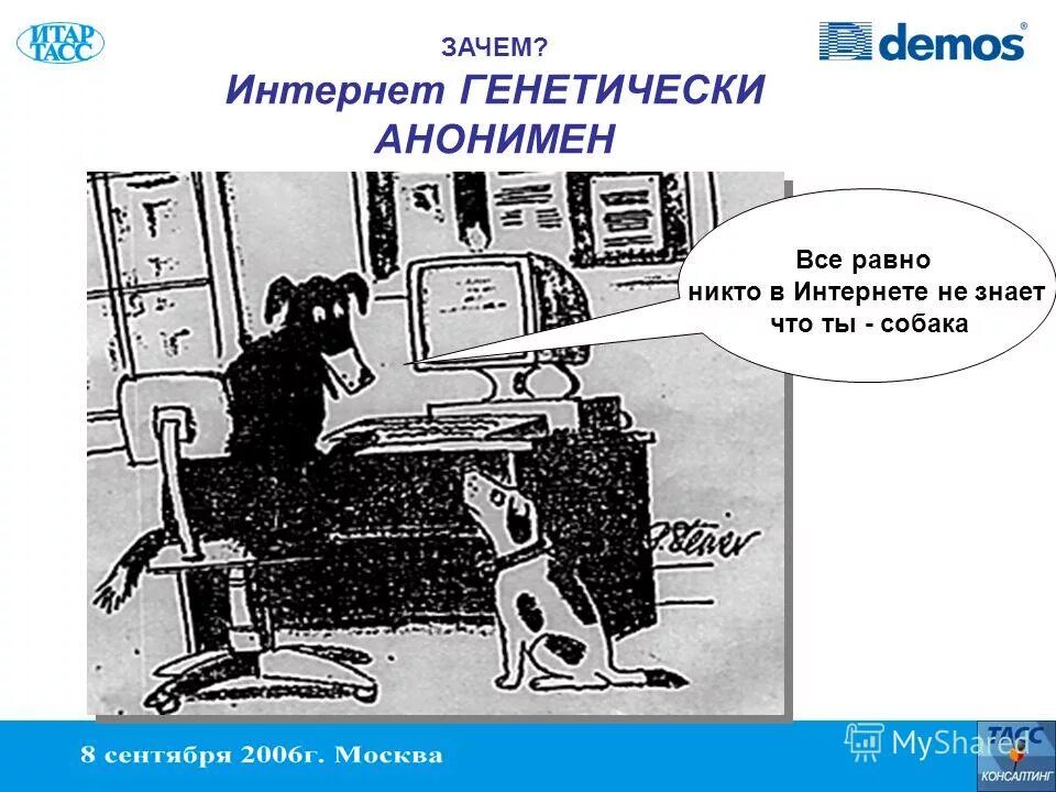 Demos интернет. В интернете никто не знает что ты собака. В интернете никто не узнает что ты собака. В интернете никто не знает что ты кот. В интернете никто не знает что ты собака оригинал.