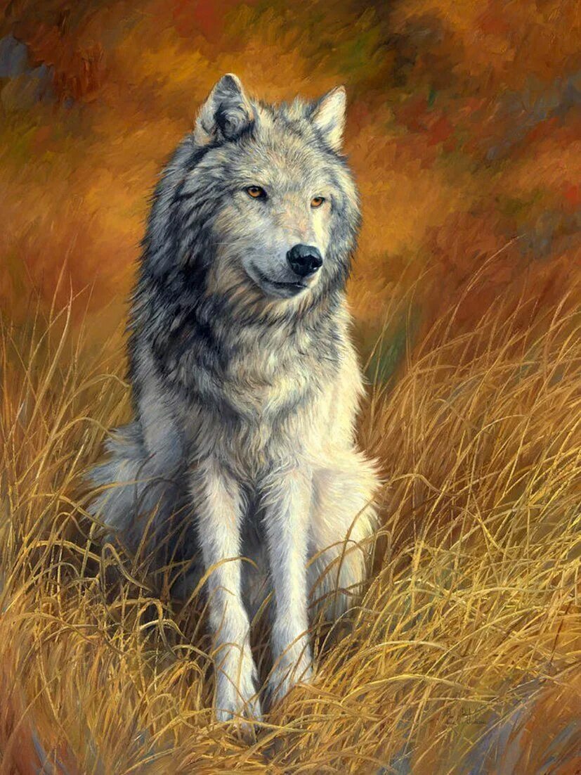 Постер с волком. Lucie Bilodeau волки. Художница Lucie Bilodeau волки. Картина волки. Волк живопись.