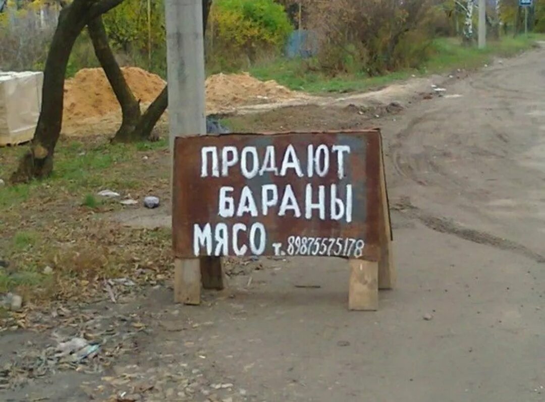 Прикольные картинки с надпи. Смешные картинки с надписями. Весёлые картинки с надписями. Прикольные надписи. Смешные надписи.