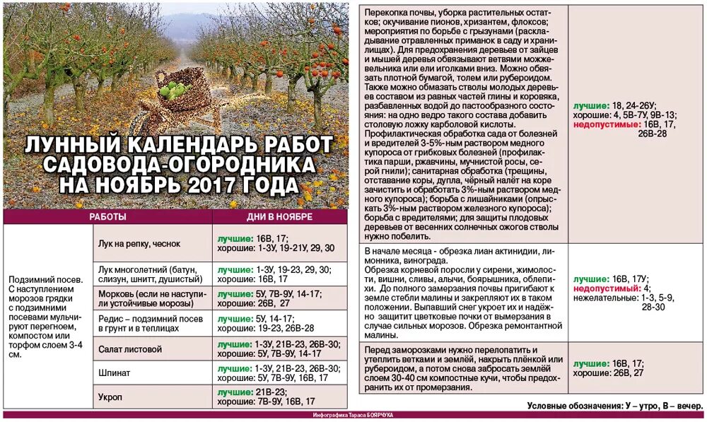 Календарь работ в теплице. Лунный календарь на ноябрь огородника. Календарь работ в саду и огороде. Календарь работ в саду огороде на каждый месяц. Лунный календарь садовода огородника 2017