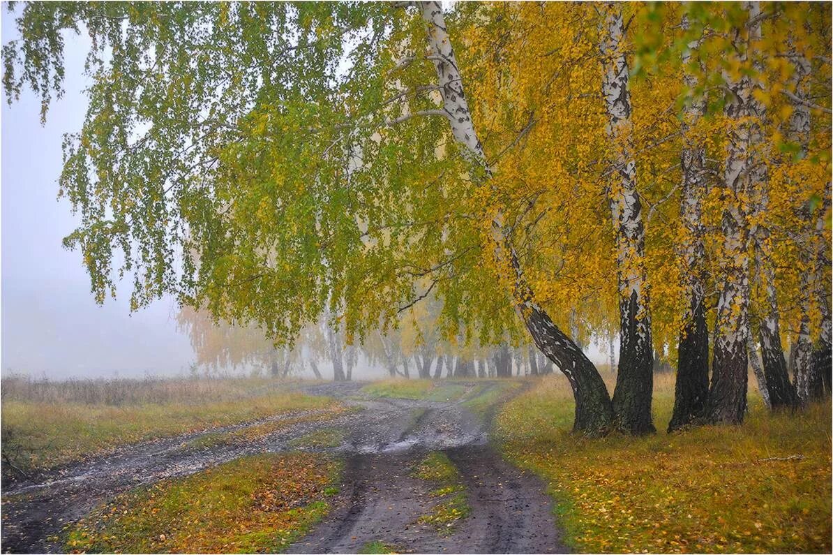 Родной край осенью. Природа Зауралья Курганская область. Зауралье край родной родной природа. Курганская область природа лето. Природа родного края Курганская область.